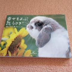 행복한 꽃 우사기
