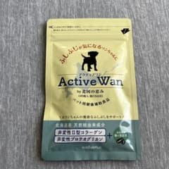 アクティブワンのサムネイル