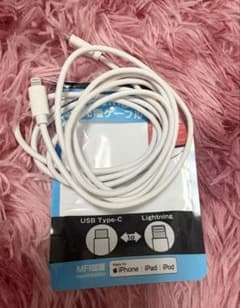 USB Type-C to Lightning 충전 케이블