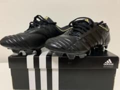 アディピュア2 FCのサムネイル