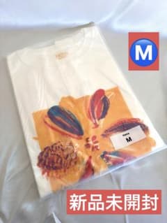 新品未開封【藤井風】Fujii Kaze Hana 花 Tシャツ Mサイズ - メルカリ