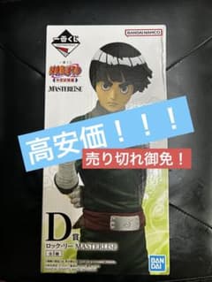 BANDAI NAMCO ロック・リー MASTERISE D賞のサムネイル