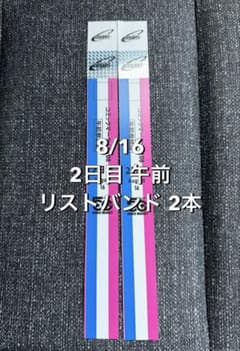 コミックマーケット コミケ 108 2日目 午前 リストバンド 5枚 コミックマーケット コミケ 108 2日目 午前 リストバンド 2本 - メルカリ