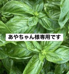 あやちゃん様専用です。のサムネイル