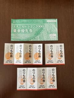 値下げ‼️ナガシマ　スチールドラゴン2000乗車優先券&乗り物券のサムネイル