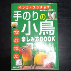 手のりの小鳥楽しみ方book : インコ・ブンチョウのサムネイル