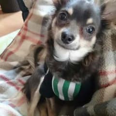 返金専用ページのサムネイル