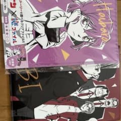 名探偵コナン　謎ファイル　灰原哀ver&FBIverのサムネイル