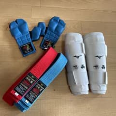 拳サポ以外 空手防具のサムネイル
