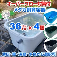 ★超メル特価 メダカ飼育ケース 36㍑x4個（黒・薄灰・深緑・水色）大雨対策付 ☆超メル特価 メダカ飼育ケース 36㍑x4個（黒・薄灰・深緑・水色）大雨
