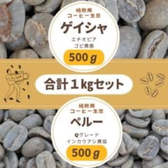 コーヒー生豆 ゲイシャ ペルー 2産地セット 500g x 2 合計 1kg - メルカリ