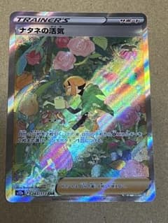 ナタネの活気sar 美品のサムネイル