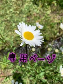 taki333様専用のサムネイル