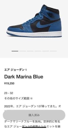 KSK様専用‼️NIKE AIR JORDAN 1のサムネイル