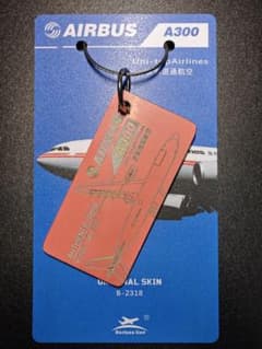 貨物機 A300-600R ピンク色 友和道通航空 m76521681439_1.jpg?1760367648