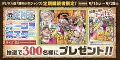 300枚限定 ONE PIECE オーロラポスター - メルカリ