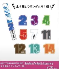 超特急 BULLET TRAIN ペンライトアクセサリー マサヒロ - メルカリ