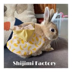 うさぎ用　バナナハーネスのサムネイル