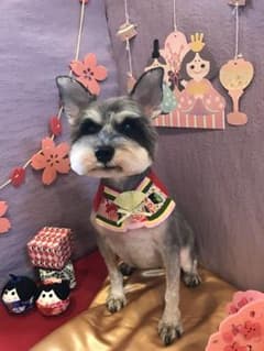 骨型キーホルダーのサムネイル