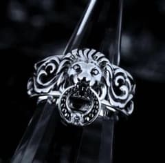 ジャスティンデイビス SRJ522 ライオンキーパーリング - メルカリ