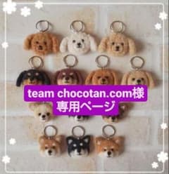 team chocotan.com様☆専用ページのサムネイル