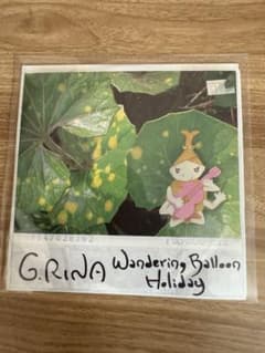 G.RINA 2枚セット 「サーカスの娘」「Wandering Balloon」のサムネイル