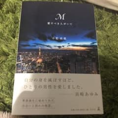 M愛すべき人がいてのサムネイル