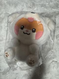 zeroni FLUFFY ミディアムぬいぐるみ ビニニ ハンビン zb1 zeroni FLUFFY ミディアムぬいぐるみ ビニニ ハンビン zb1 - メルカリ