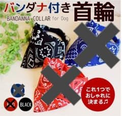 【在庫処分価格】バンダナ付き首輪☆ブラックのみのサムネイル