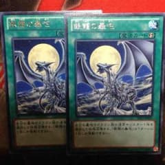銀龍の轟咆2枚セットのサムネイル