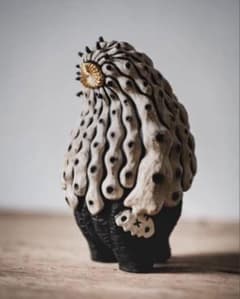 COPIAPOA MONSTER 黒王丸菊紋 日本限定版ver 羅本製所 COPIAPOA MONSTER 黒王丸菊紋 日本限定版ver 羅本製所 - メルカリ