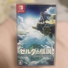 젤다의 전설 티어즈 오브 더 킹덤 닌텐도 Switch