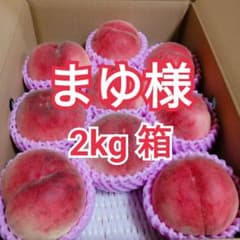 山梨県産 魅惑の 夢桃香 EM栽培 朝採り 生産者直送 2kg箱 - メルカリ