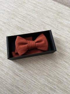 結婚式　新郎　蝶ネクタイのサムネイル