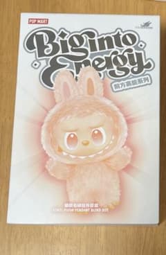 正規品 ラブブ未開封のサムネイル