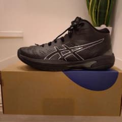 asics GELHOOP V16 ブラック/ピュアシルバー 24.5cmのサムネイル