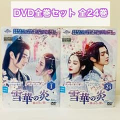 雪華の炎～揺るぎない誓い～ DVD全巻セット 全24巻 アジアドラマ