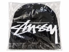 今日だけ。STUSSY ステューシー ニット帽 ビーニーのサムネイル