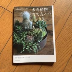 sol×solがおしえる多肉植物育て方ノートのサムネイル