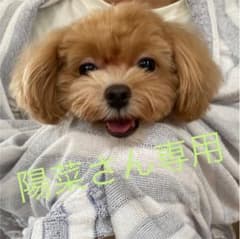 【陽菜さん専用】キャラクターグッズのサムネイル