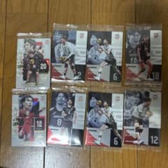 バレーボール 日本代表 トレーディングカード 7枚セットのサムネイル