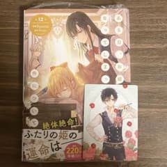 ある日、お姫様になってしまった件について 12巻 - メルカリ