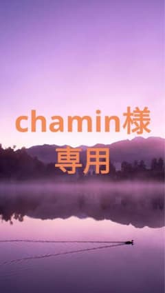 スタイルフィット 替芯 10本セットのサムネイル
