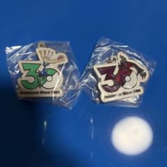 ポケモン 30周年 メタルチャーム ゼルネアス イベルタルのサムネイル