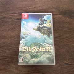 Nintendo Switch 젤다의 전설 티어즈 오브 더 킹덤