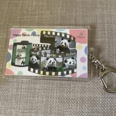 アドベンチャーワールド パンダ 8月 限定 キーホルダー ファミリー