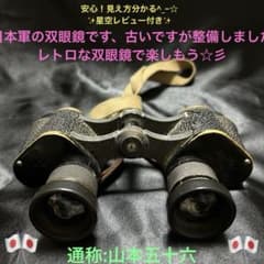 m76575972081_1.jpg?1757937532
