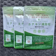 カテキン減脂粒 62粒 1ヶ月分 3袋 - メルカリ