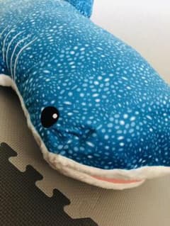 ジンベイザメぬいぐるみのサムネイル
