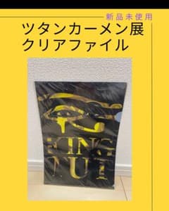【新品】【未使用】2012年 ツタンカーメン展 クリアファイルのサムネイル